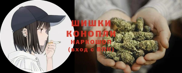 гашик Богородицк