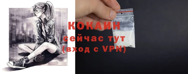 гашик Богородицк